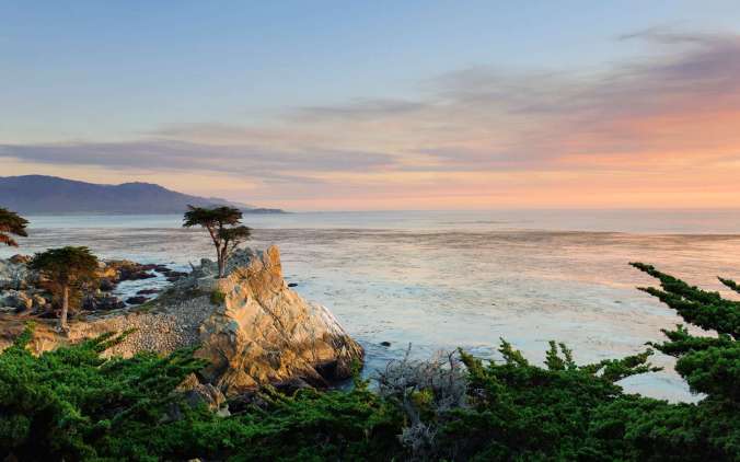 USA, California, Monterey Peninsula, 17 Mile Drive, Lone Cypress