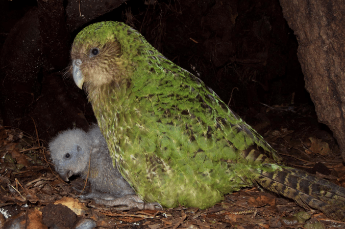 Screen Shot 2019-06-17 at 8.44.56 PM